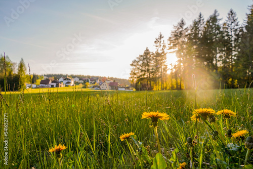 Fototapeta Naklejka Na Ścianę i Meble -  Im Fichtelgebirge Landschaft Natur Sonne Fleckl