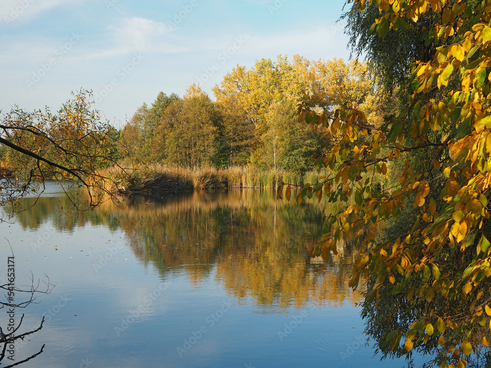 Beautiful city public park with ponds in autumn