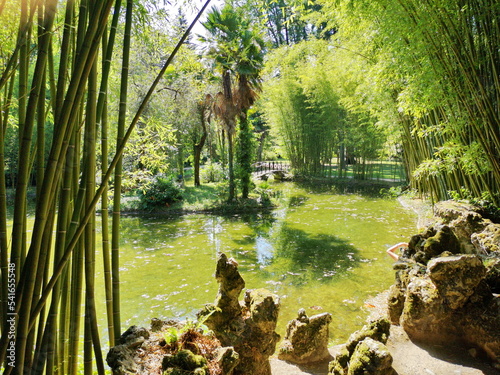 Japanese-style garden in Señorío de Bertiz, Navarra, photo