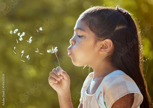 Quadro su tela Spring, freedom and girl blowing dandelion flowers for hope, growth and environment in park