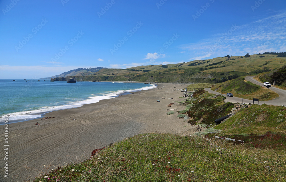 Landscape with Goat Rock Beach - California Landscape with Goat Rock Beach - California