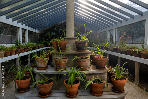 Nursery of plants in a glass greenhouse