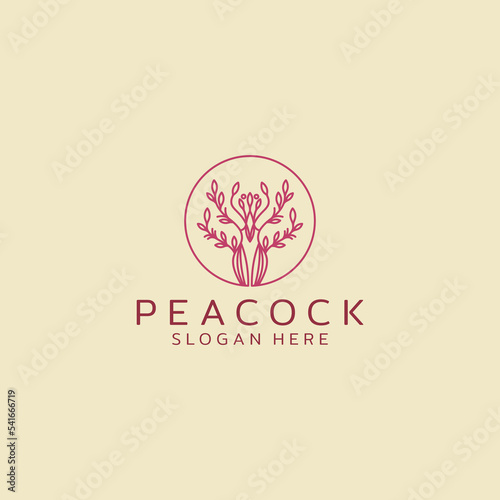 peacock logo icon design templet and vector