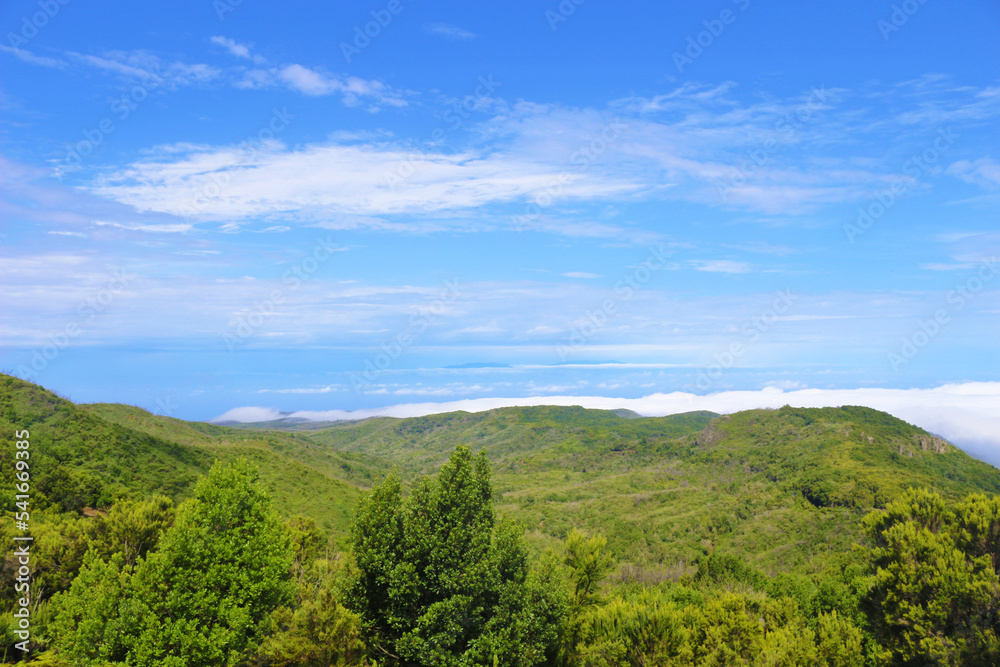 Alto de Garajonay, La Gomera