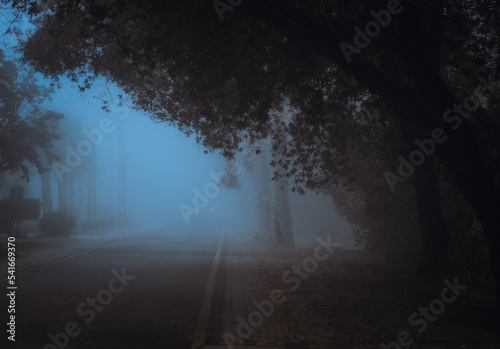 Misty  © Faizan