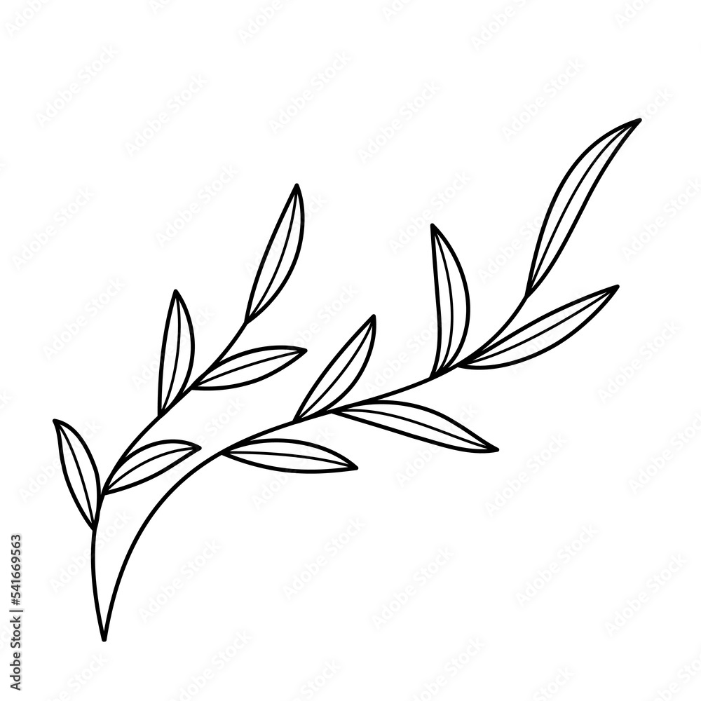 Doodle line art branch with leaves. Hand drawn twig, monochrome linear garden floral elements Doodle line art branch with leaves. Hand drawn twig, monochrome linear garden floral elements