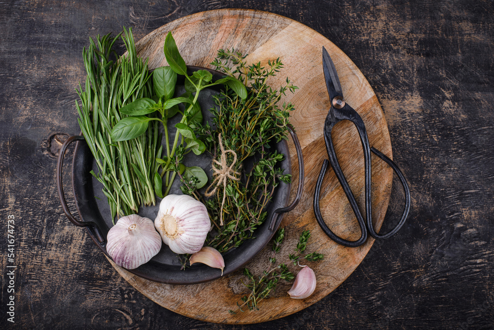 Rosemary, thyme and basil. Fresh garden herbs StockFoto Adobe Stock