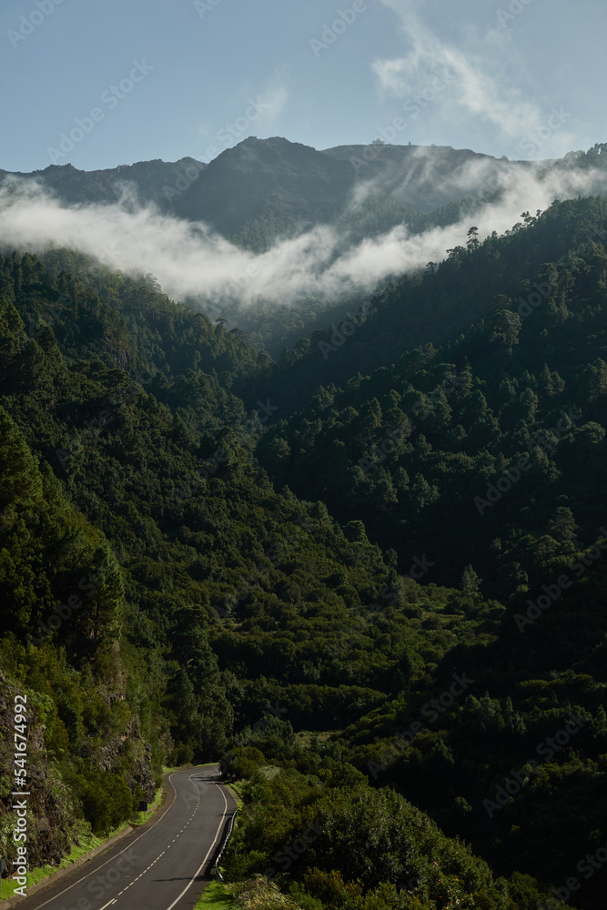 Obraz premium A road trip through the north of the island of La Palma. Canary Islands. Spain