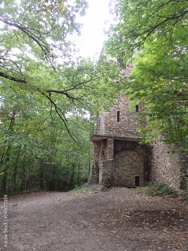 Forest of Montmorency / Île-de-France, France