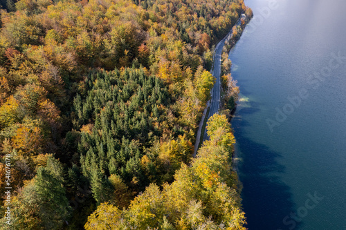 Autumn on Lake Bohinj, Slovenia drone photo © Pawel 