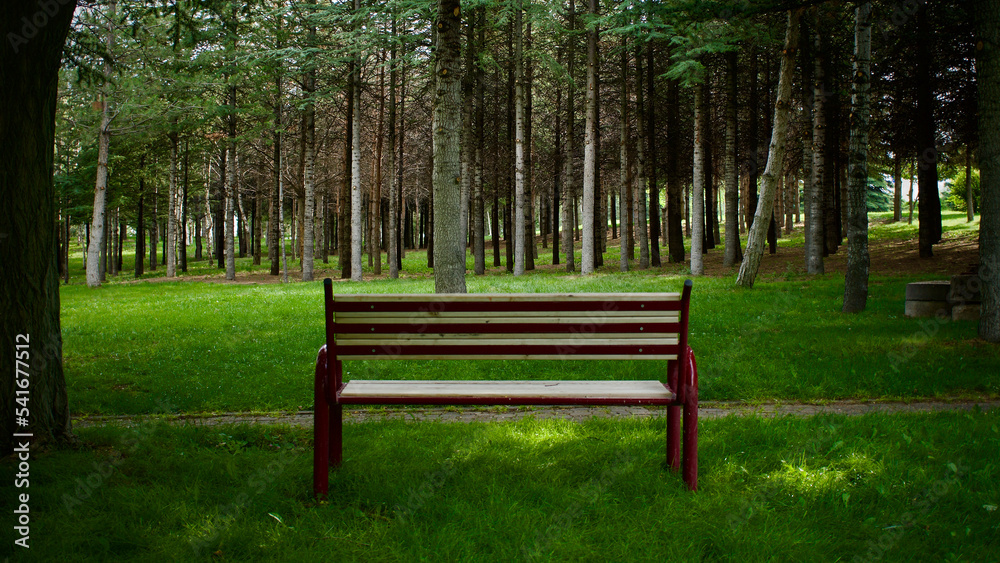 Bench, park bench, wooden bench, resting place. Bench, park bench, wooden bench, resting place.