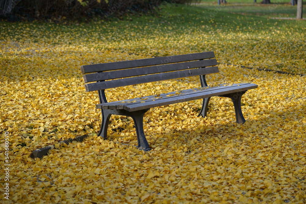 Park bench in golden autumn leaves, Hanover, Germany. Park bench in golden autumn leaves, Hanover, Germany.