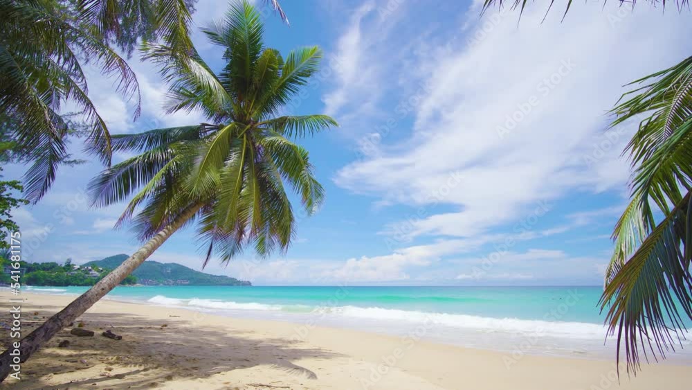 Tropical palm tree on the beach background
