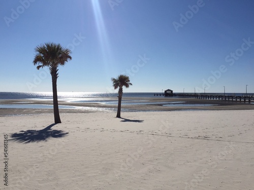 Two palm trees and the pier in the distance, Biloxi, Mississippi, USA