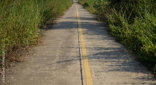 beautiful two lane concrete road.Old concrete road.Concrete road surrounded by deserted forest.desolate road.Longitudinal Joint
