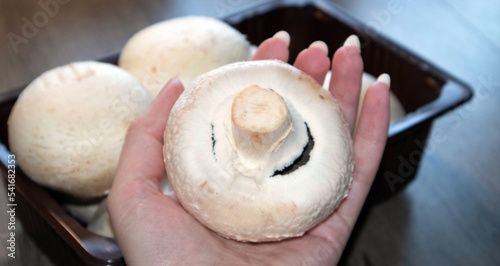 The girl holds a huge champignon in her hand. Champignons close-up on the table. The concept of farming, growing mushrooms for sale