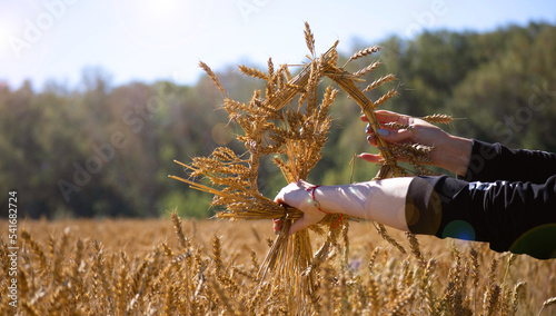 Symbol of fertility and harvest. The girl is holding a wreath of wheat. Harvest concept.