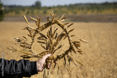 Symbol of fertility and harvest. A man holds a wreath of wheat. Harvest concept.