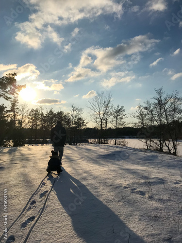 Dad is carrying a sled with a child in the winter forest, family walking 