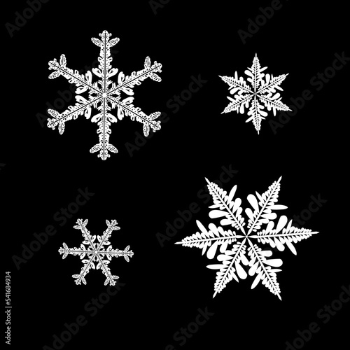 Vector set of snowflakes on isolated black background