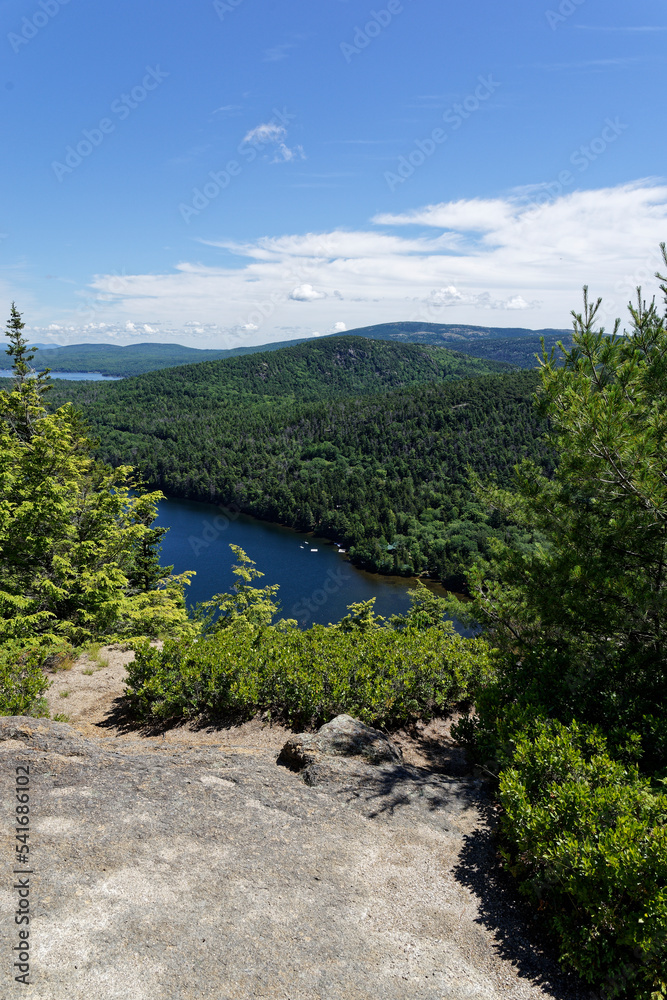 in the wilderness of the acadia national park
