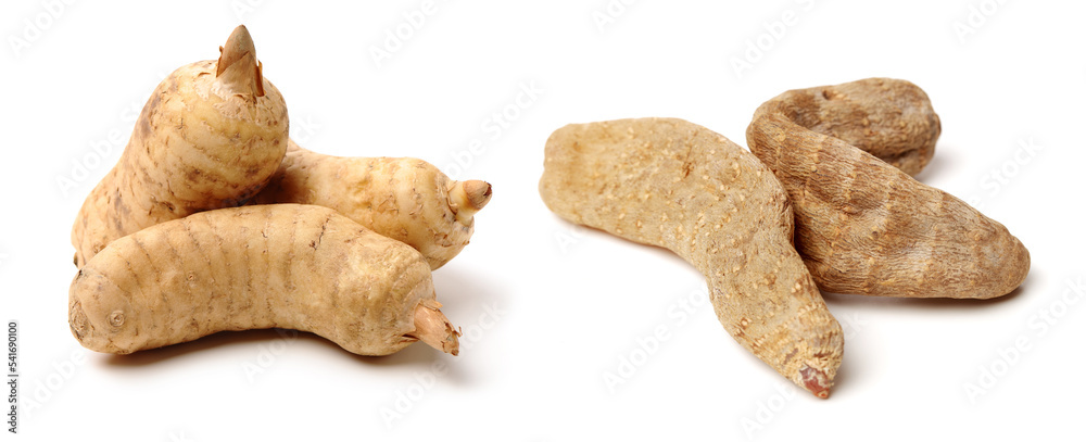 Gastrodia elata on white background Gastrodia elata on white background
