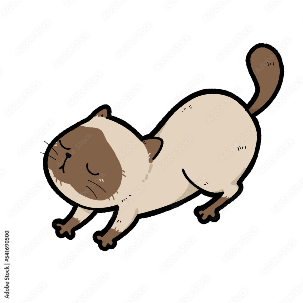 lazy cat lazy cat
