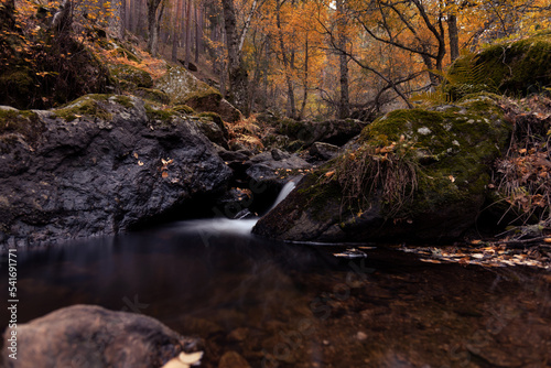 Arroyo del Sestil del Maíllo en Canencia photo