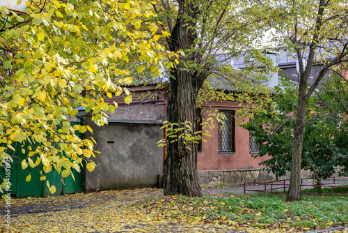 Bright colors of autumn on the streets of a southern provincial town. © Konstantin