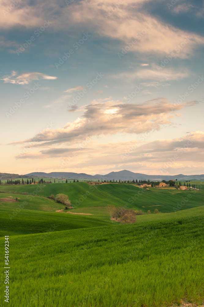 Green hills of the Tuscany countryside at sunset,  Italy