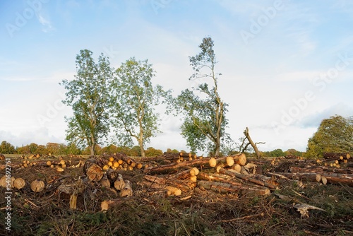 Clean up operations in the aftermath of storm Arwen in the North East of Scotland
