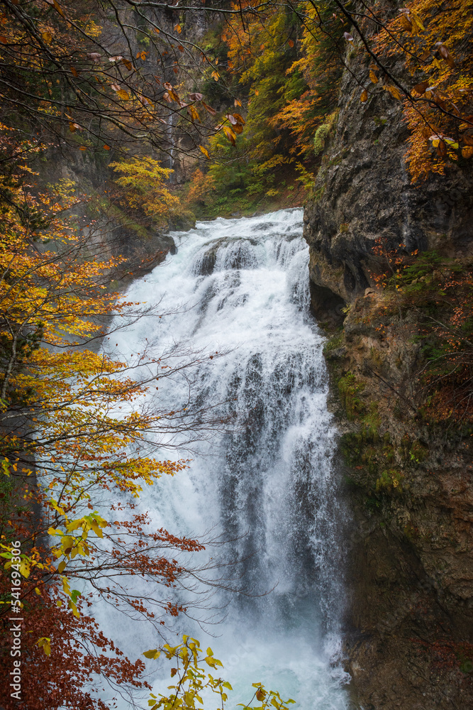 View of a mountain waterfall with colored autumn trees, in the Ordesa valley, in Huesca, Spain, vertical View of a mountain waterfall with colored autumn trees, in the Ordesa valley, in Huesca, Spain, vertical