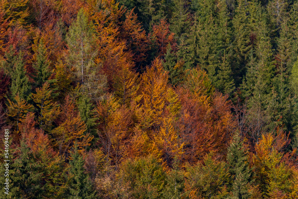 Adlitzgraben - Semmeringer Pass im Herbst Adlitzgraben - Semmeringer Pass im Herbst
