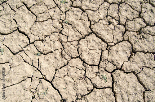 Tierra seca agrietada pantano. Sequía, textura.
