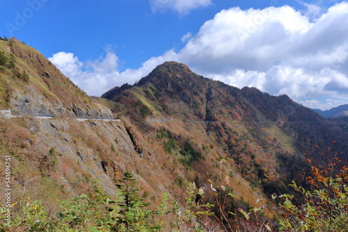 UFOライン 西黒森の紅葉を眺める （高知県 瓶ヶ森林道）