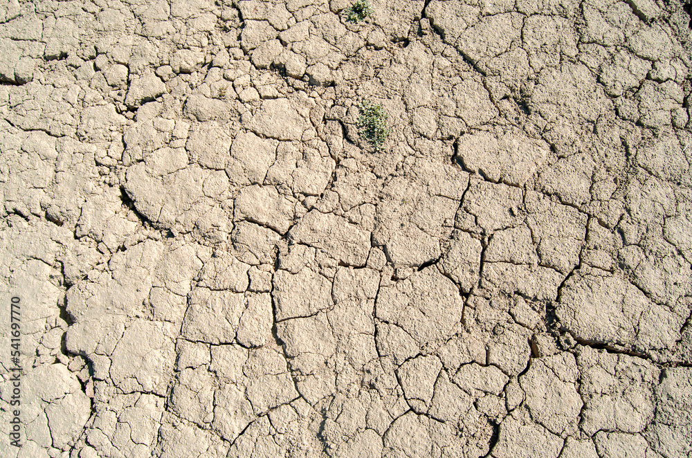 Fototapeta premium Tierra seca agrietada pantano. Sequía, textura.