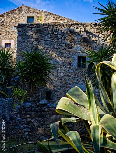 Vielle maison du sud de la France 