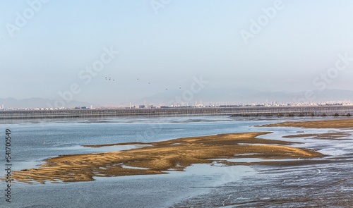 Beautiful view of muddy shore against a background of a city photo