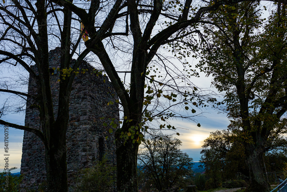 sunset in the park, Laufemburg, Switzerland sunset in the park, Laufemburg, Switzerland