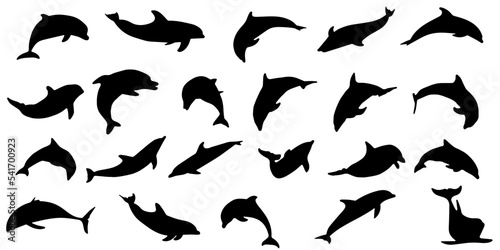 Valokuva set of black silhouette of dolphin on a separate white background