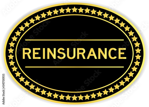 Gold and black color oval label sticker with word reinsurance on white background