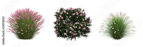 Fotobehang bush isolate on a transparent background, 3D illustration, cg render