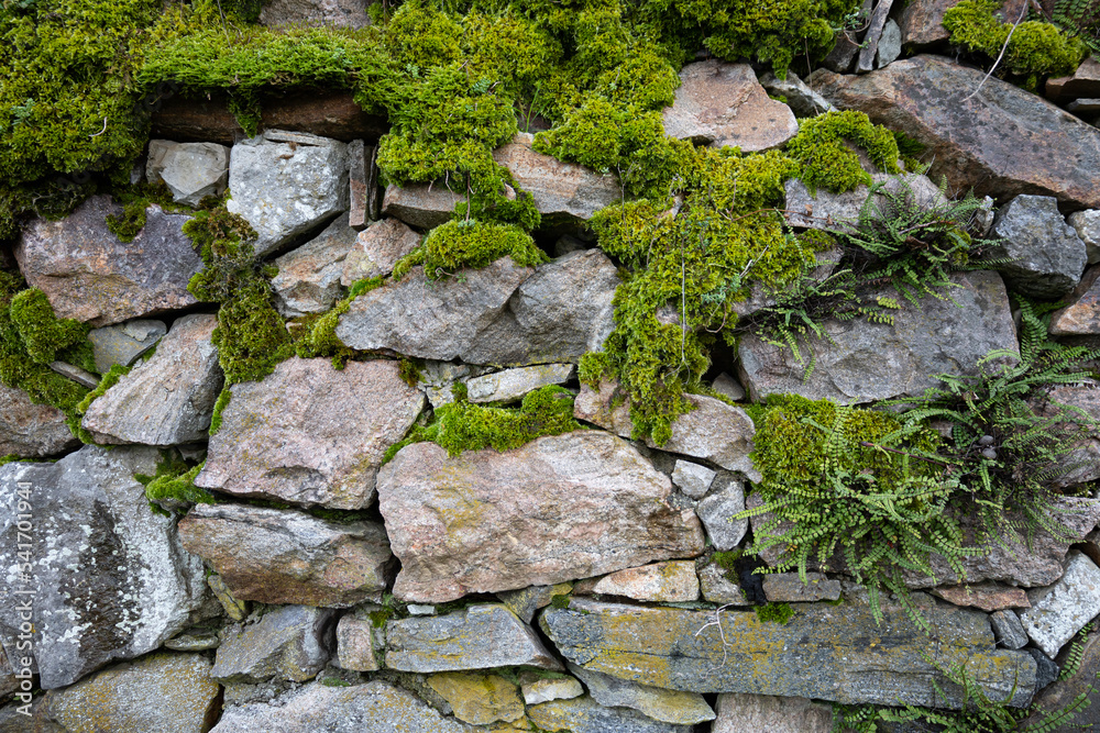 stone wall with moss