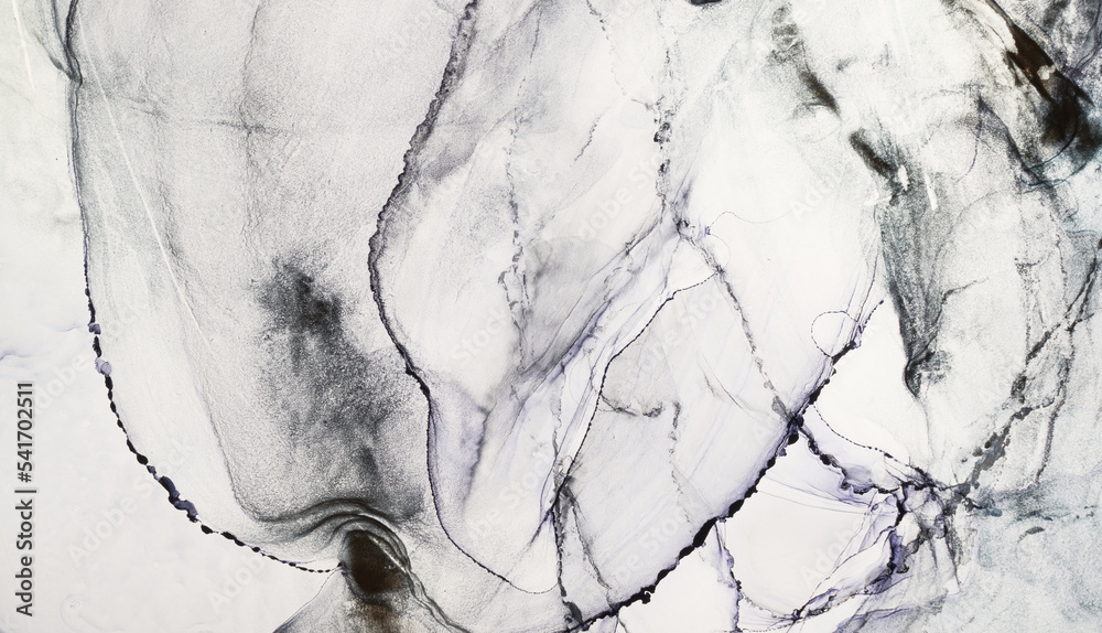 Naklejka premium Alcohol ink abstract black-white background. Contrasting acrylic paint waves in water. Texture of marble. Pattern for printing. Vibrant stains and splashes