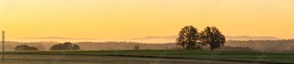 Meadow with tree and distant hill in misty fog at morning sunrise. Czech panoramic landscape, gold hour Meadow with tree and distant hill in misty fog at morning sunrise. Czech panoramic landscape, gold hour
