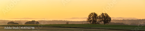 Meadow with tree and distant hill in misty fog at morning sunrise. Czech panoramic landscape, gold hour