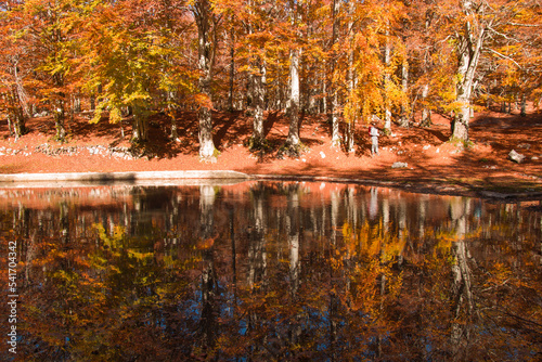 Reflections in the little mountain pond at the summit of Monte Livata in Lazio during autumn season
