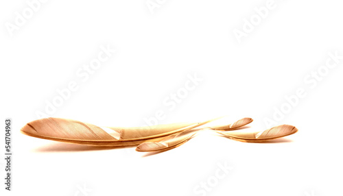 golden bird feather with shadow isolated white background