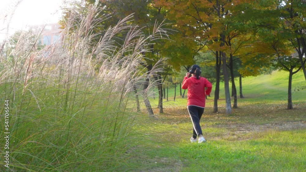 a woman who exercises on an autumn day a woman who exercises on an autumn day