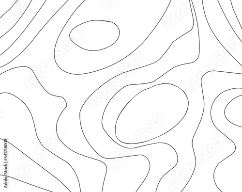 Abstract Contour Topographic Line Pattern in Black and White